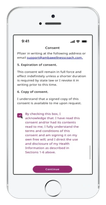 The Consent screen — dense legal paragraphs on expiration and copy of consent, with an acknowledgement checkbox above Continue