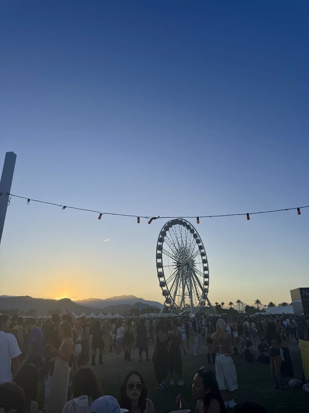 At the Coachella music festival