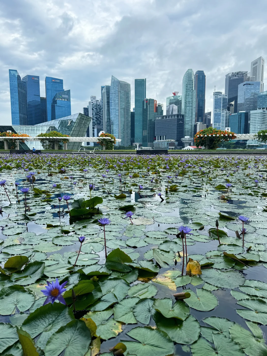 Exploring Singapore